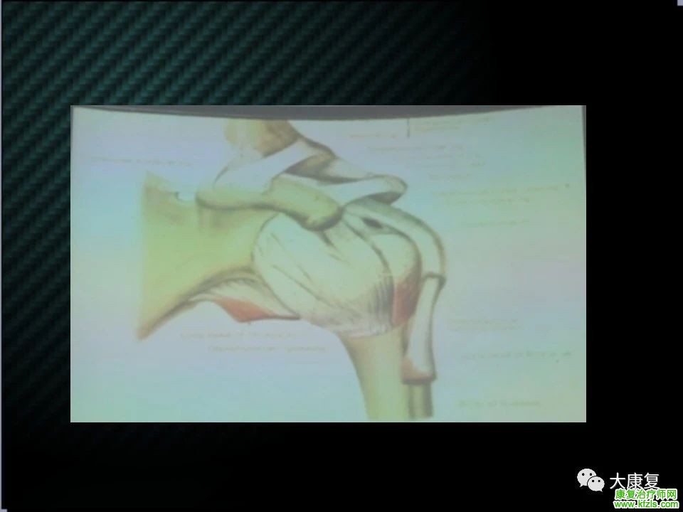 【收藏】肩关节功能解剖及康复方案