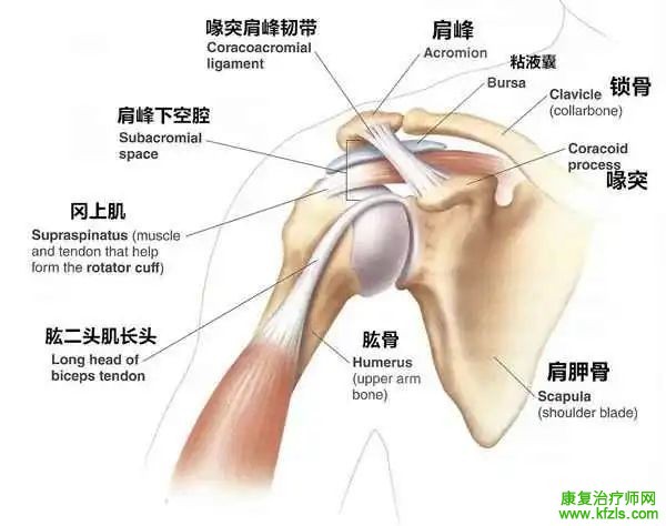 冈上肌肌腱炎的康复训练指南