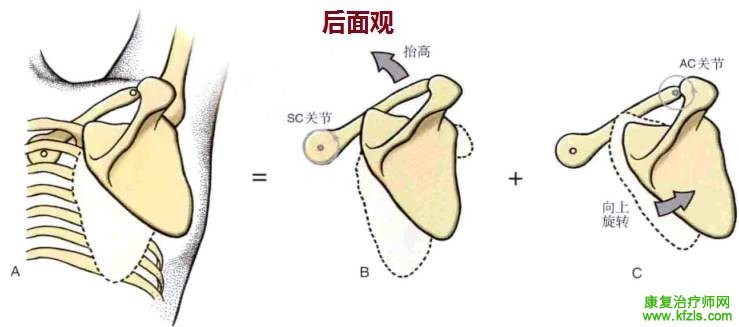 冈上肌肌腱炎的康复训练指南