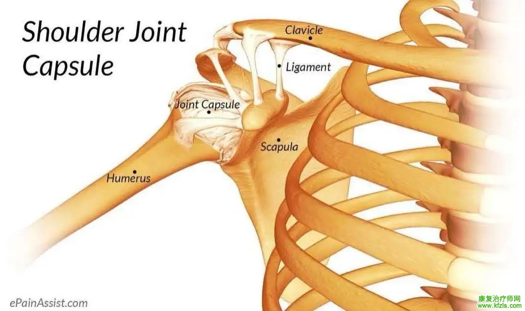 7个动作增强肩关节的稳定性