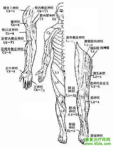 反射及其检查方法