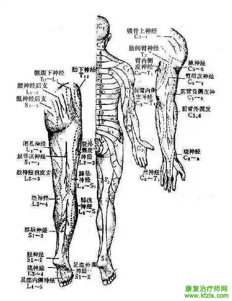 反射及其检查方法