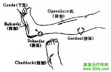 反射及其检查方法