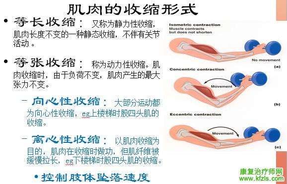 悬吊训练疗法对康复的重要意义