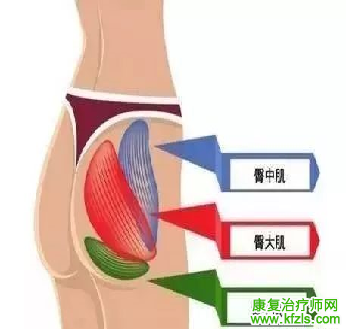 步态异常——臀中肌步态