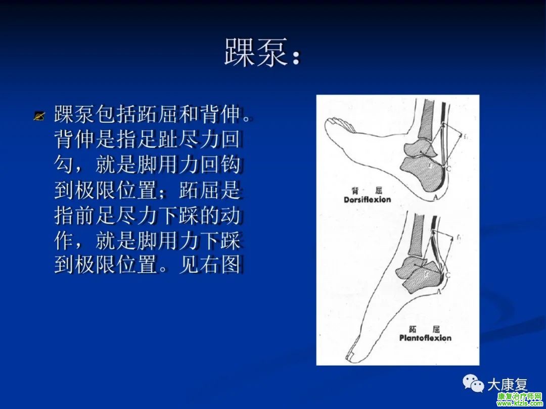 跟腱断裂的康复