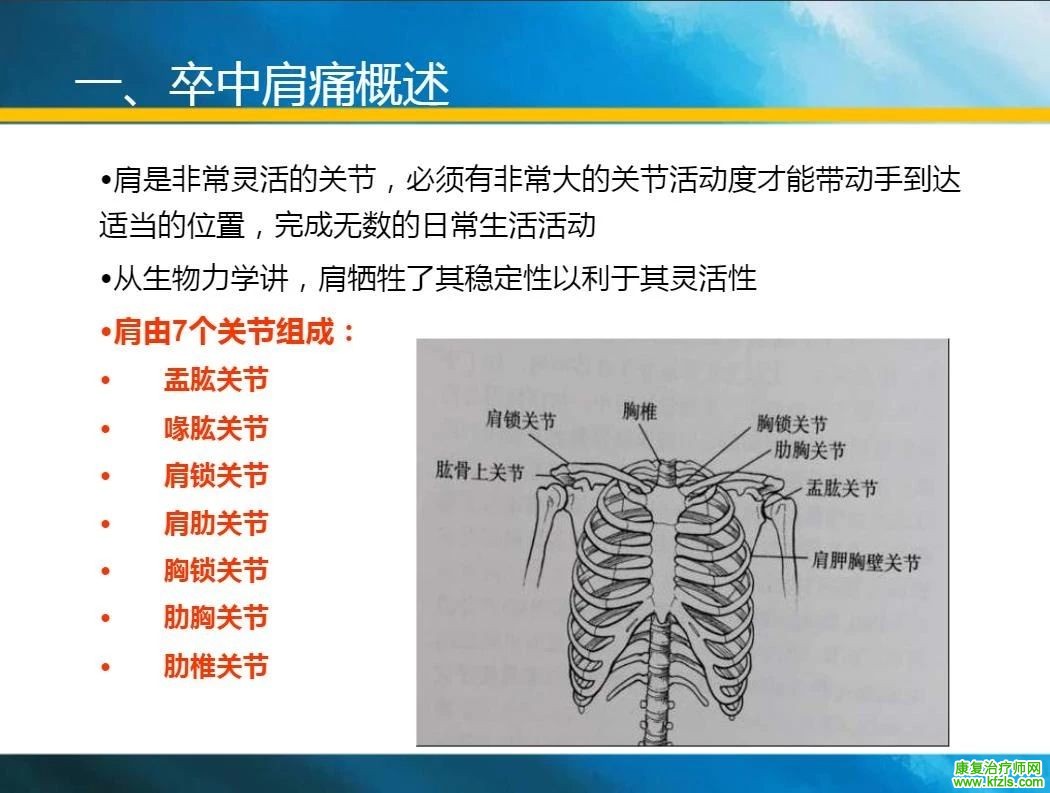 收藏!卒中肩痛的原因分析与康复治疗新技术