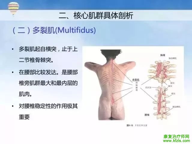 核心肌群稳定性评估及训练方案