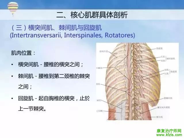 核心肌群稳定性评估及训练方案