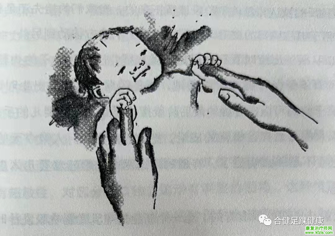 婴幼儿反射发育解读——原始反射