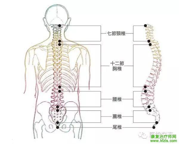 腰间盘突出康复治疗的12种方法