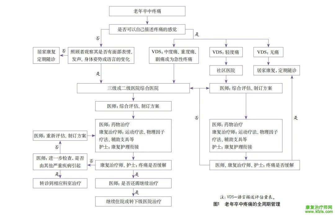 【指南与共识】老年卒中疼痛全周期康复中国专家共识