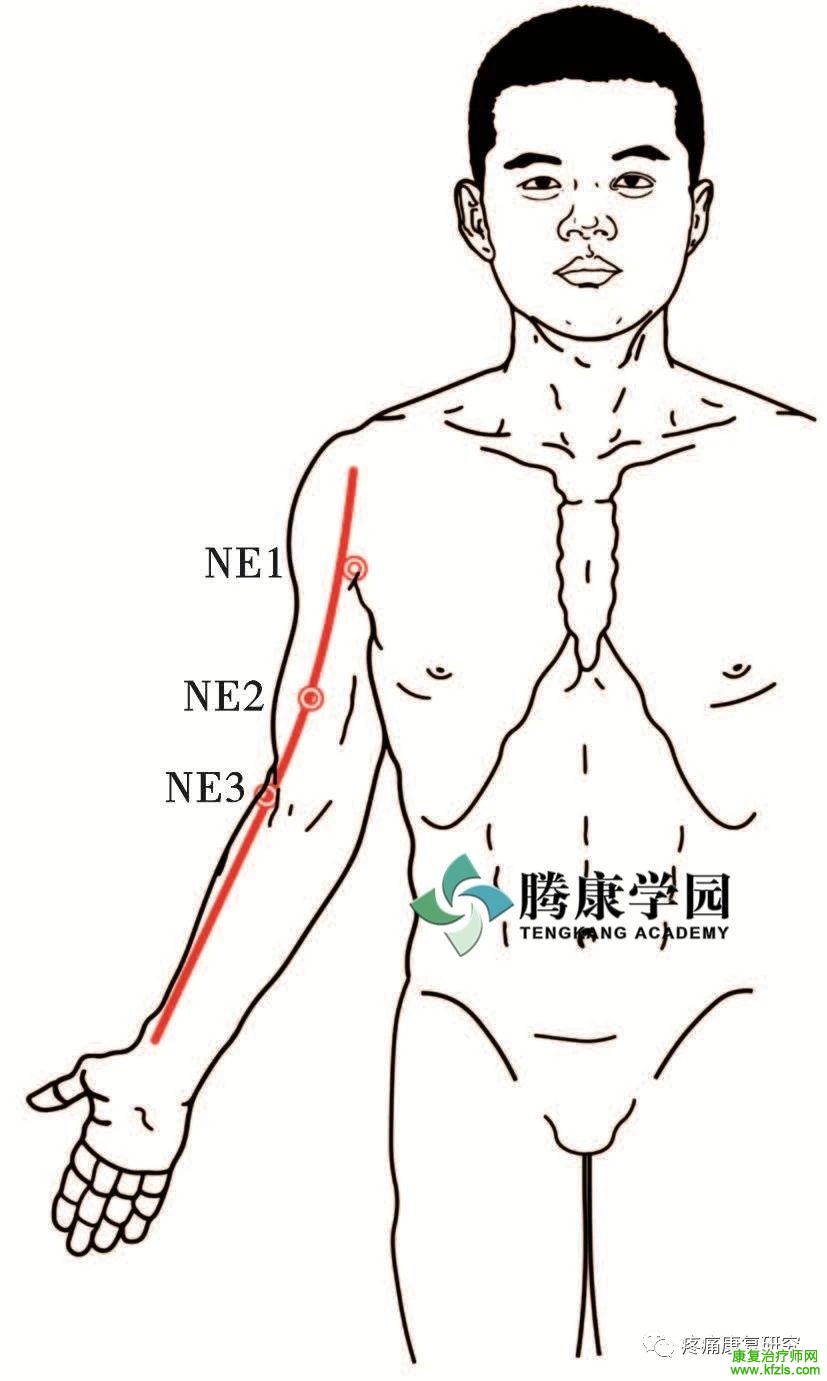 肩关节周围11条神经的解剖